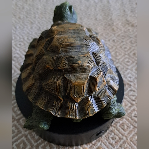 Fabulous turtle - Picture 3 of 5